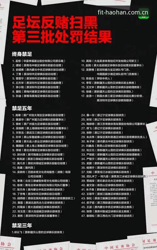 资深球迷深度复盘：足协第三批禁足名单背后的足球乱象与思考